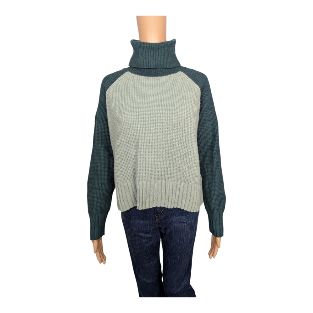 Madewell Colorblock Eastbrook Turtleneck Cross-Back Sweater L